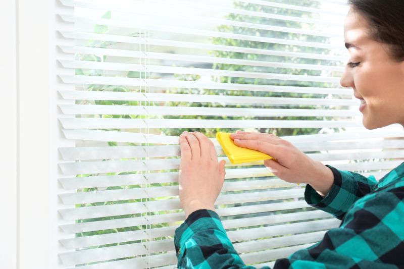 Vertical Blind Cleaning